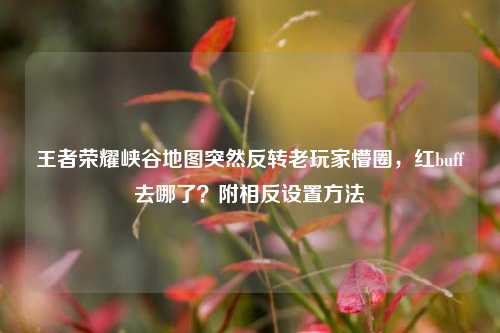 王者荣耀峡谷地图突然反转老玩家懵圈，红buff去哪了？附相反设置方法