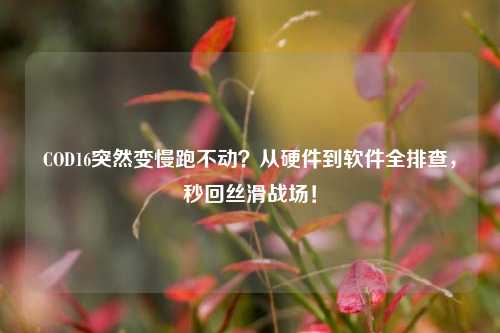 COD16突然变慢跑不动？从硬件到软件全排查，秒回丝滑战场！