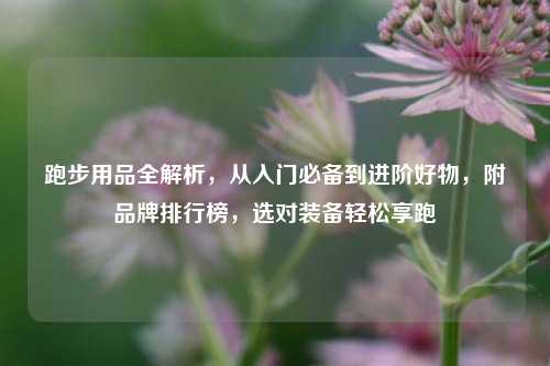 跑步用品全解析,从入门必备到进阶好物,附品牌排行榜,选对装备轻松享跑