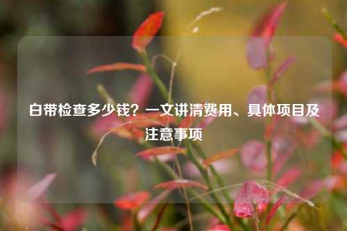白带检查多少钱？一文讲清费用、具体项目及注意事项