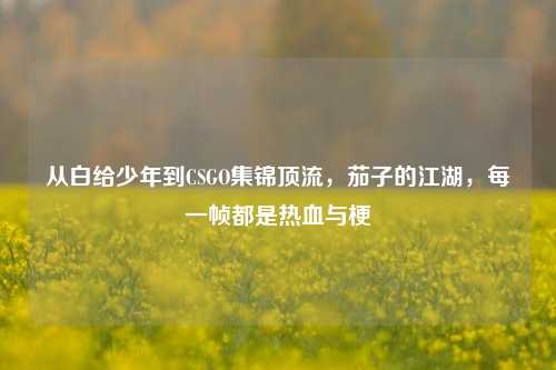 从白给少年到CSGO集锦顶流，茄子的江湖，每一帧都是热血与梗