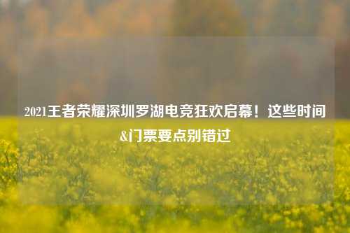2021王者荣耀深圳罗湖电竞狂欢启幕!这些时间&门票要点别错过