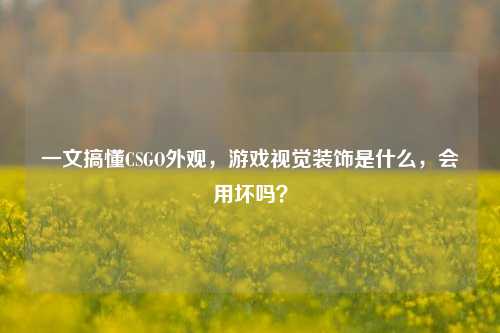 一文搞懂CSGO外观,游戏视觉装饰是什么,会用坏吗?