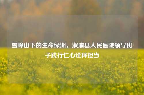雪峰山下的生命绿洲，溆浦县人民医院领导班子践行仁心诠释担当