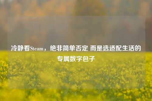 冷静看Steam,绝非简单否定 而是选适配生活的专属数字包子