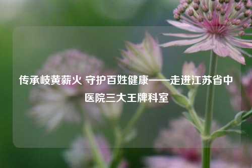 传承岐黄薪火 守护百姓健康——走进江苏省中医院三大王牌科室