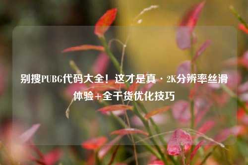 别搜PUBG代码大全！这才是真·2K分辨率丝滑体验+全干货优化技巧