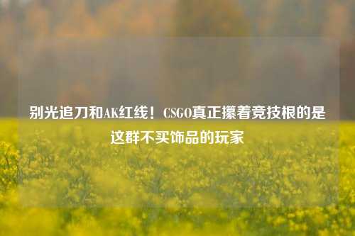 别光追刀和AK红线！CSGO真正攥着竞技根的是这群不买饰品的玩家