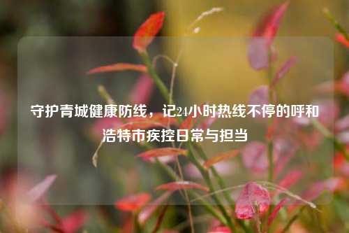 守护青城健康防线,记24小时热线不停的呼和浩特市疾控日常与担当