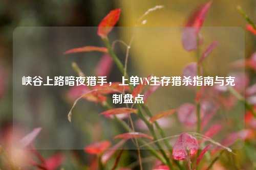 峡谷上路暗夜猎手,上单VN生存猎杀指南与克制盘点