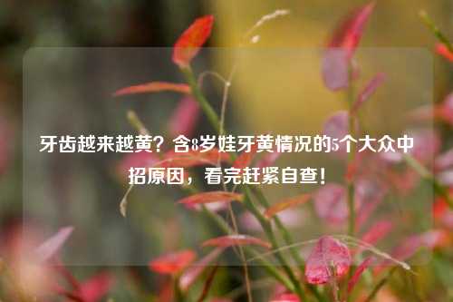 牙齿越来越黄?含8岁娃牙黄情况的5个大众中招原因,看完赶紧自查!