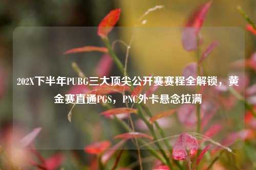 202X下半年PUBG三大顶尖公开赛赛程全解锁,黄金赛直通PGS,PNC外卡悬念拉满