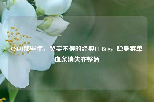 CSGO那些年，哭笑不得的经典UI Bug，隐身菜单血条消失齐整活