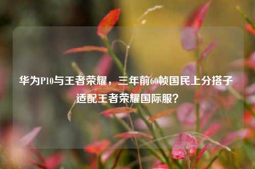 华为P10与王者荣耀，三年前60帧国民上分搭子 适配王者荣耀国际服？