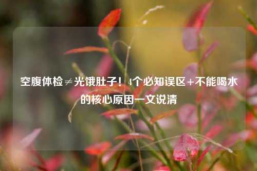 空腹体检≠光饿肚子!4个必知误区+不能喝水的核心原因一文说清