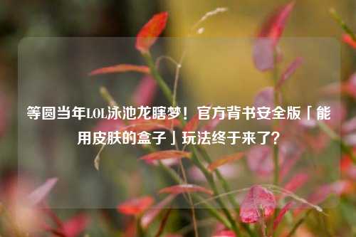 等圆当年LOL泳池龙瞎梦!官方背书安全版「能用皮肤的盒子」玩法终于来了?