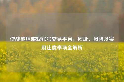 逆战咸鱼游戏账号交易平台,网址、风险及实用注意事项全解析