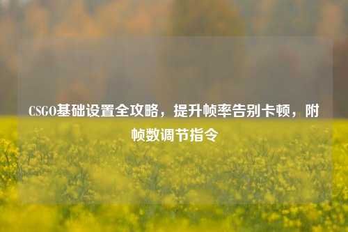 CSGO基础设置全攻略,提升帧率告别卡顿,附帧数调节指令