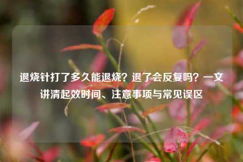 退烧针打了多久能退烧？退了会反复吗？一文讲清起效时间、注意事项与常见误区