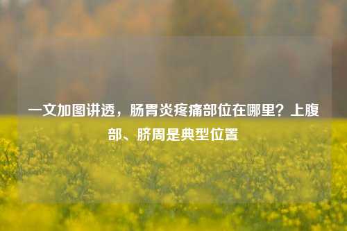 一文加图讲透,肠胃炎疼痛部位在哪里?上腹部、脐周是典型位置