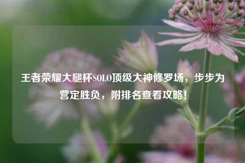 王者荣耀大腿杯SOLO顶级大神修罗场,步步为营定胜负,附排名查看攻略!
