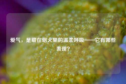 爱气，是藏在烟火里的温柔呼吸——它有哪些表现？