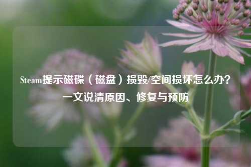 Steam提示磁碟（磁盘）损毁/空间损坏怎么办？一文说清原因、修复与预防