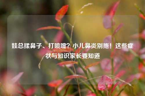 娃总揉鼻子、打喷嚏?小儿鼻炎别拖!这些症状与知识家长要知道