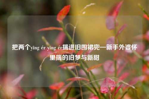 把两个yīng ér yīng ér揣进旧围裙兜—新手外婆怀里揣的旧梦与新甜