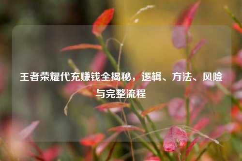 王者荣耀代充赚钱全揭秘,逻辑、方法、风险与完整流程