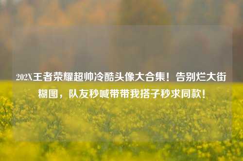 202X王者荣耀超帅冷酷头像大合集!告别烂大街糊图,队友秒喊带带我搭子秒求同款!