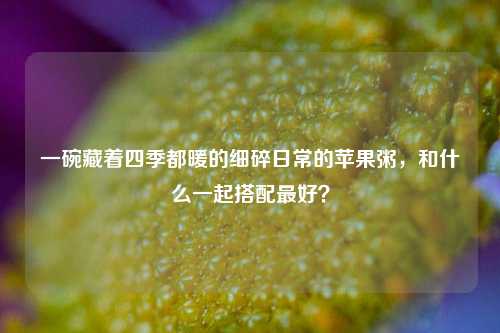 一碗藏着四季都暖的细碎日常的苹果粥,和什么一起搭配最好?
