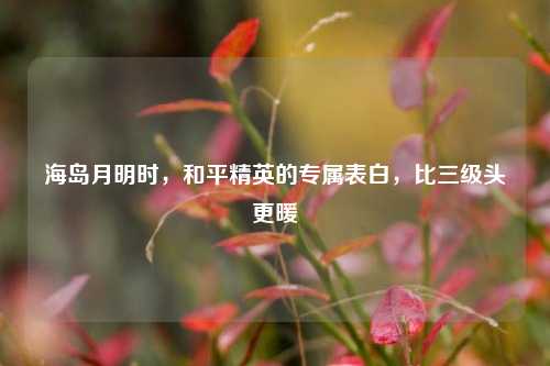 海岛月明时，和平精英的专属表白，比三级头更暖