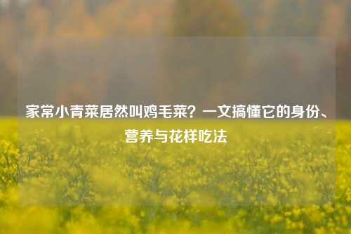 家常小青菜居然叫鸡毛菜？一文搞懂它的身份、营养与花样吃法
