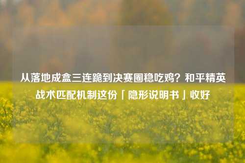 从落地成盒三连跪到决赛圈稳吃鸡？和平精英战术匹配机制这份「隐形说明书」收好