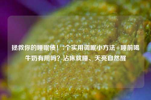 拯救你的睡眠债!7个实用调眠小方法+睡前喝牛奶有用吗?沾床就睡、天亮自然醒