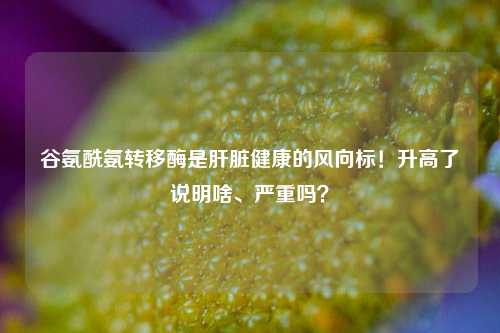 谷氨酰氨转移酶是肝脏健康的风向标！升高了说明啥、严重吗？