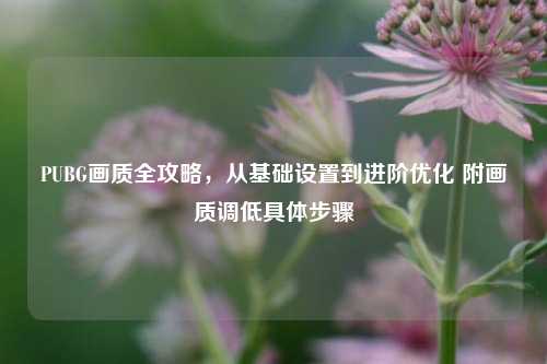 PUBG画质全攻略，从基础设置到进阶优化 附画质调低具体步骤