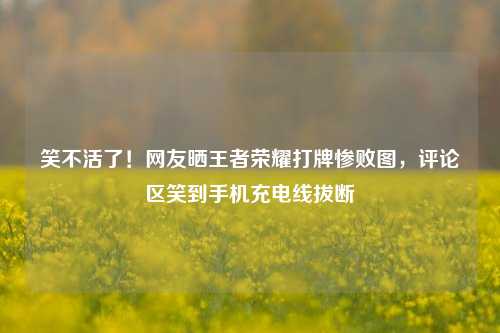 笑不活了！网友晒王者荣耀打牌惨败图，评论区笑到手机充电线拔断