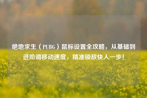 绝地求生（PUBG）鼠标设置全攻略，从基础到进阶调移动速度，精准锁敌快人一步！