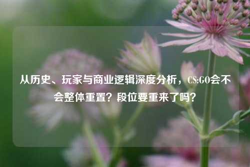 从历史、玩家与商业逻辑深度分析,CS:GO会不会整体重置?段位要重来了吗?