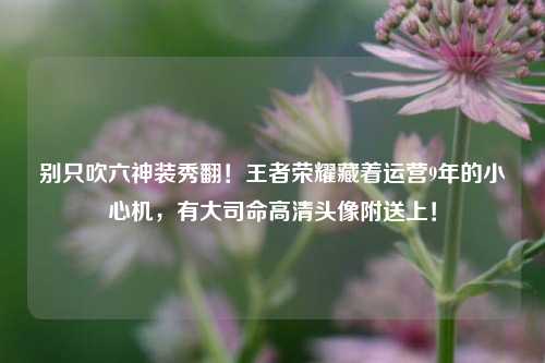 别只吹六神装秀翻!王者荣耀藏着运营9年的小心机,有大司命高清头像附送上!