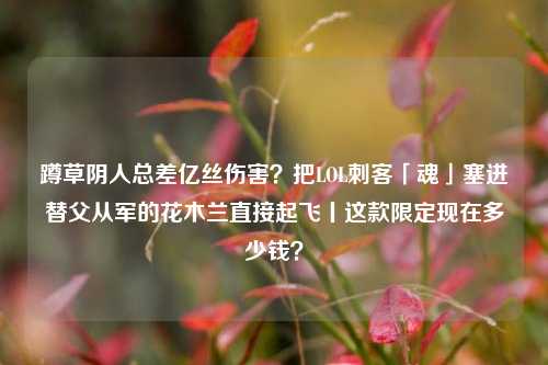 蹲草阴人总差亿丝伤害?把LOL刺客「魂」塞进替父从军的花木兰直接起飞丨这款限定现在多少钱?