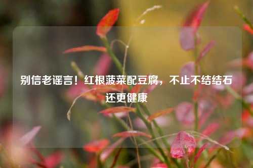别信老谣言！红根菠菜配豆腐，不止不结结石还更健康