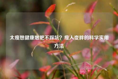 太瘦想健康增肥不踩坑?瘦人变胖的科学实用方法