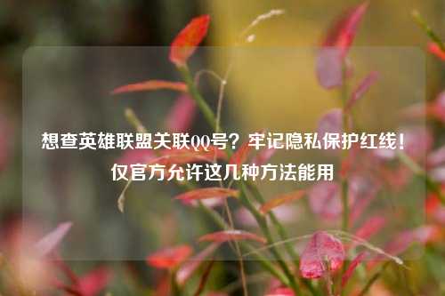想查英雄联盟关联QQ号？牢记隐私保护红线！仅官方允许这几种方法能用