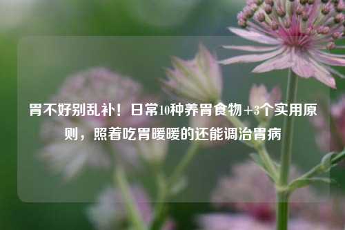胃不好别乱补!日常10种养胃食物+3个实用原则,照着吃胃暖暖的还能调治胃病