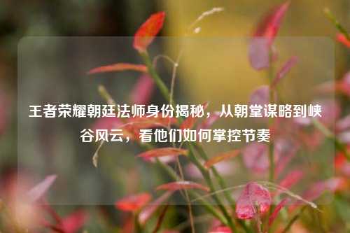 王者荣耀朝廷法师身份揭秘,从朝堂谋略到峡谷风云,看他们如何掌控节奏
