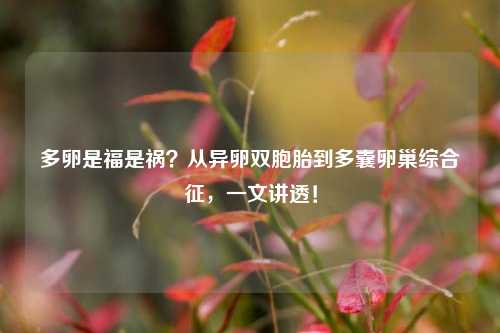 多卵是福是祸?从异卵双胞胎到多囊卵巢综合征,一文讲透!