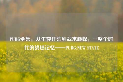 PUBG全集，从生存开荒到战术巅峰，一整个时代的战场记忆——PUBG:NEW STATE